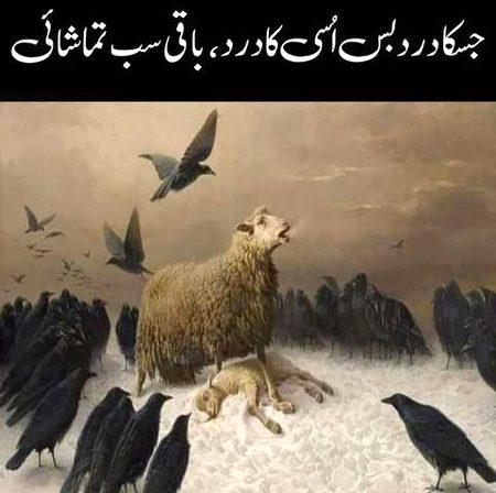 Sad Poetry image