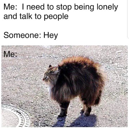 Memes & Satire image