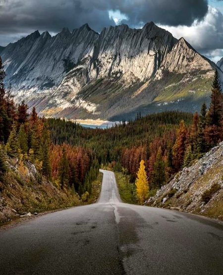 Beautiful Nature image