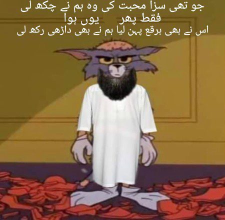 Memes & Satire image