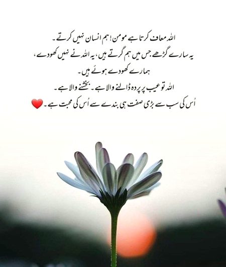 BASHAK ALLAH he ha jo عیبوں Pa prda dalnay wala ha انسان is کابل ni ka us ko kse bat ka pata chly or wo us bat  ka prda rakh la 💕