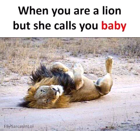 When you're frank with her..