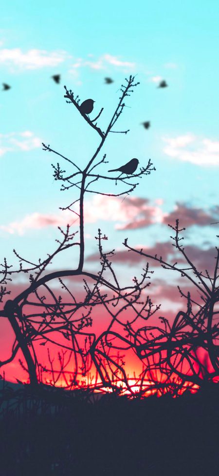 Beautiful Nature image
