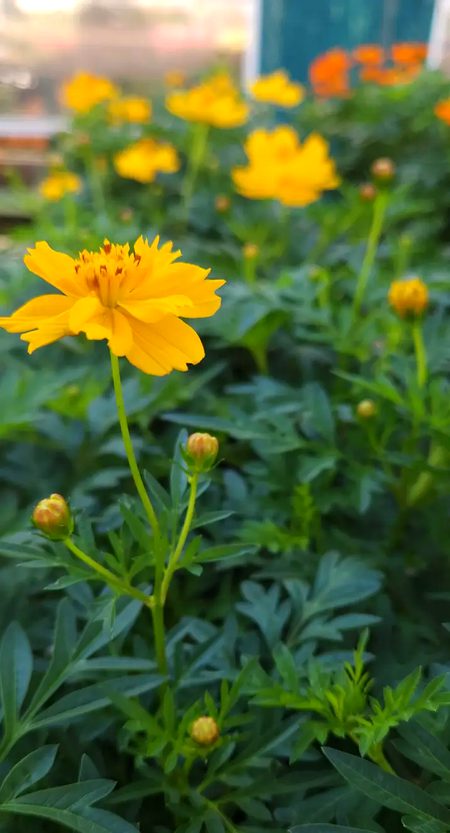 Beautiful Nature image
