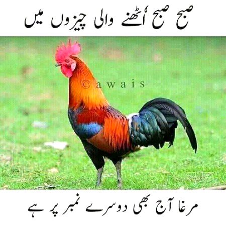 if u know u know