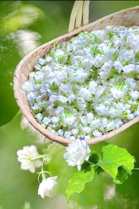 Beautiful Nature image