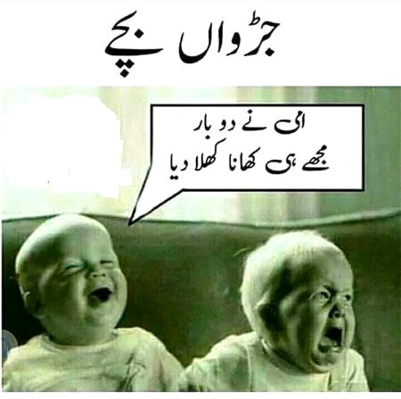 Memes & Satire image