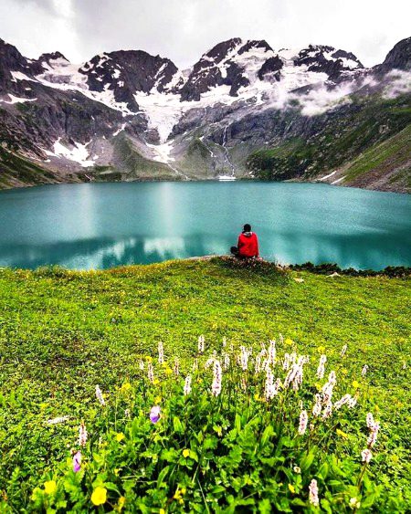 Beautiful Nature image