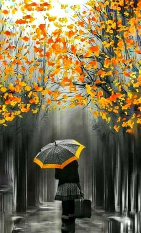 Beautiful Nature image