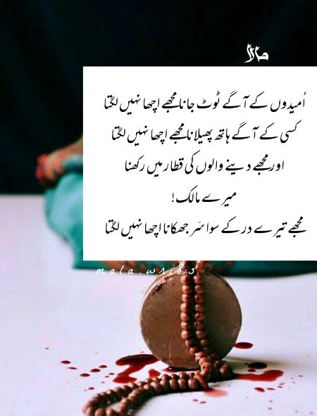 Islamic Quotes image