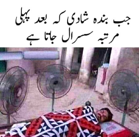 Memes & Satire image