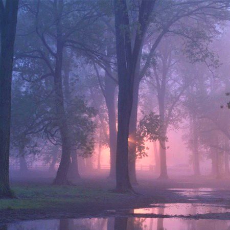 Beautiful Nature image