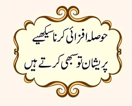 Sweet morning