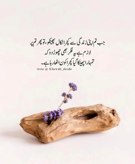 Life Advice image