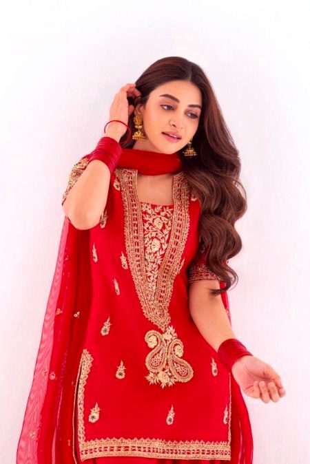 Pakistani Celebs image