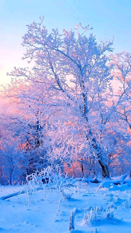 Beautiful Nature image