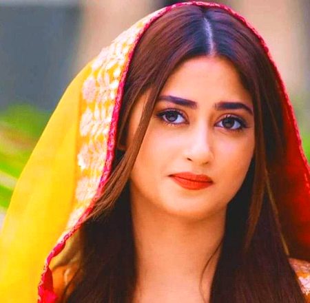 Pakistani Celebs image