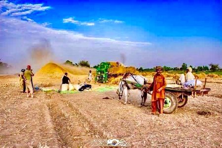 Beautiful Nature image