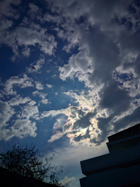 Beautiful Nature image
