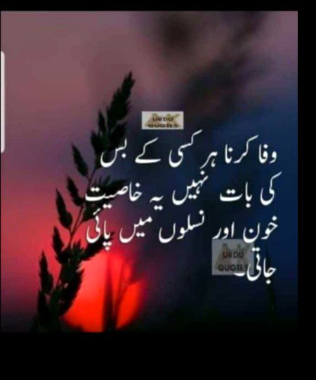 Like me please