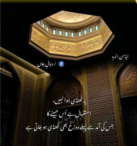 HYYYYY MASHAALLHAH beshak 🤲🏽😇🍧🍨🍓🍅😋🍎🍫