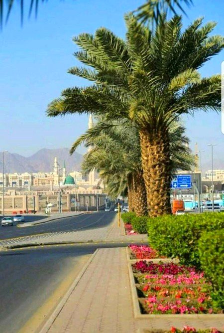 Beautiful Nature image