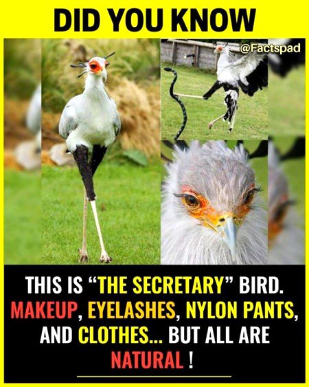 Interesting Posts image