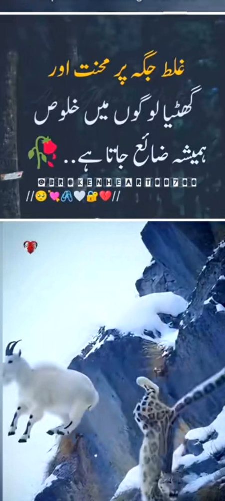 Attitude Poetry image