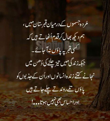جدید انسان کی سب سے خطرناک ایجاد عارضی تعلقات۔۔۔