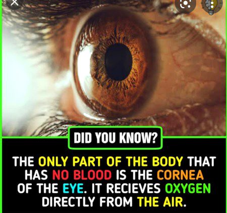 Interesting Posts image