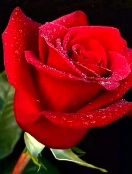 Beautiful Nature image