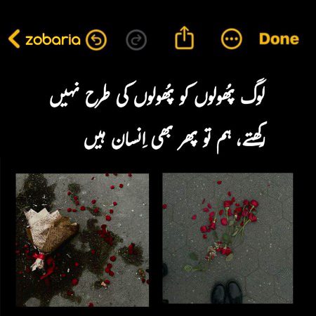 No caption 🖤