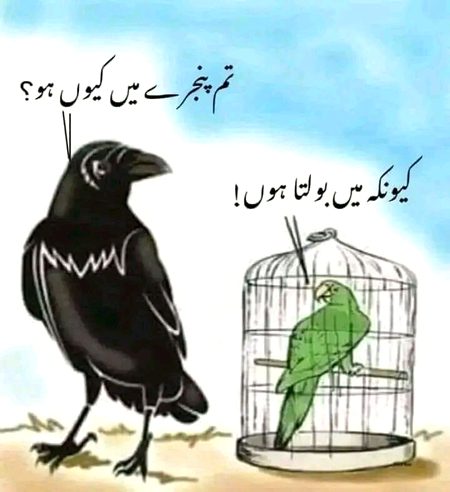 Memes & Satire image