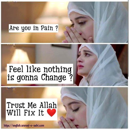 Aslam o alikum