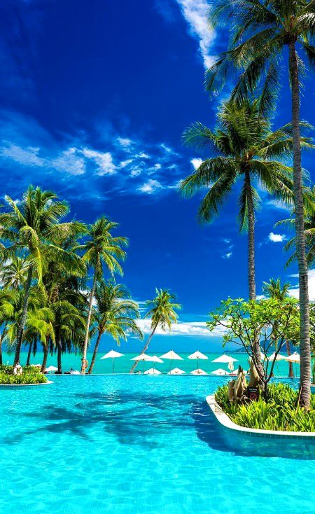 Beautiful Nature image