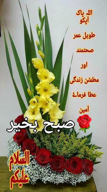 Beautiful Nature image