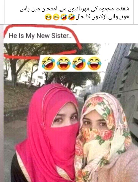 Memes & Satire image