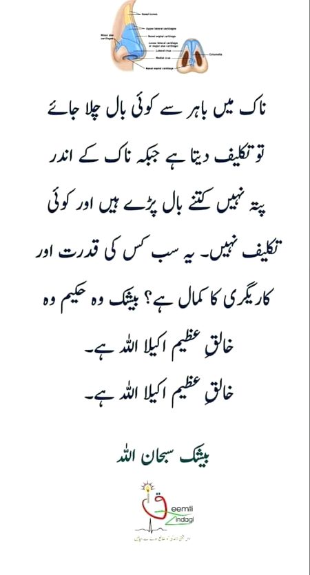 beshak