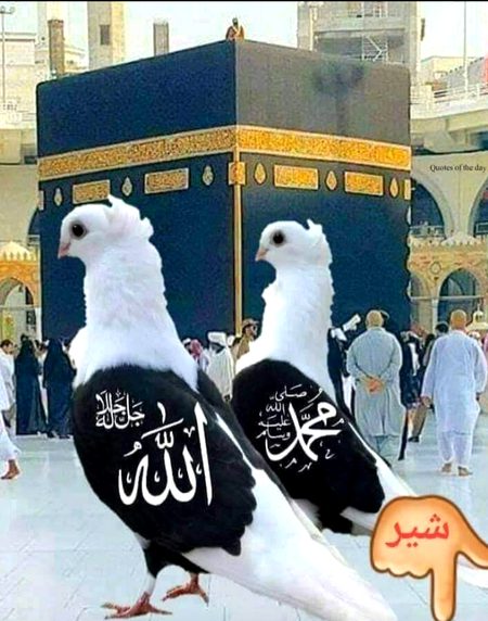 MashaAllah 🙂🙂