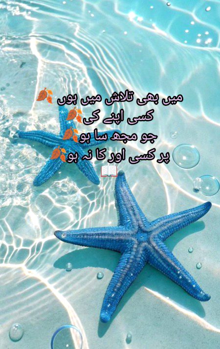 Khushbooo...