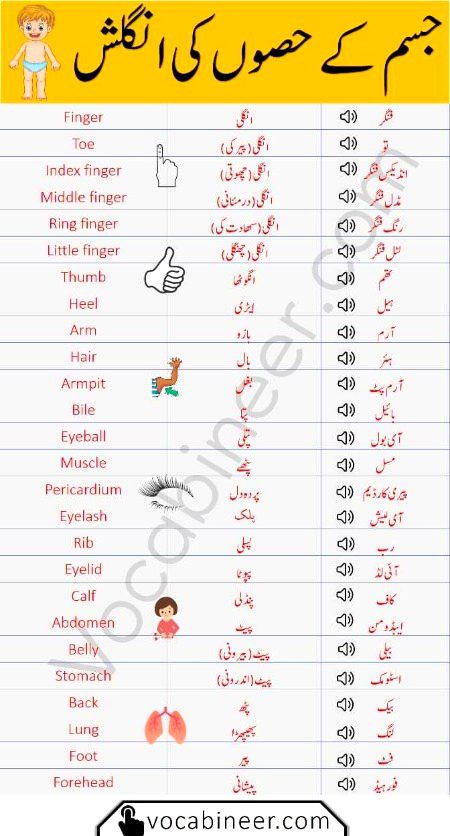 Tips for Students image