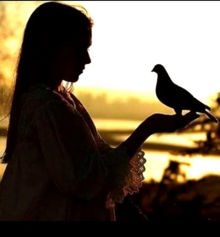 ابھی تھوڑا اور پڑھ لو میری تحریر و کو
میں نے اگلے اوراق میں مر جانا ھے^--^----