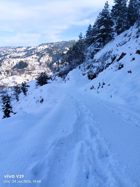 Beautiful Nature image