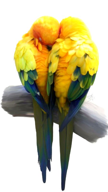 Doori na rahy baqi aj itnay qreeb aoo__mein tum mein samaa jaon__tum mujh mein samaa jaoo