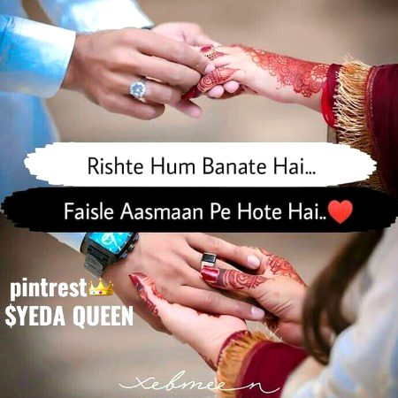 🌹🌷🌹🌷🌹🌹🌷🌹