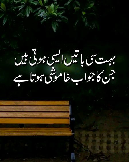 دیتے نہیں فریب یوں شیریں زبان سے
ہم لاکھ بدکلام سہی دل کے صاف ہیں