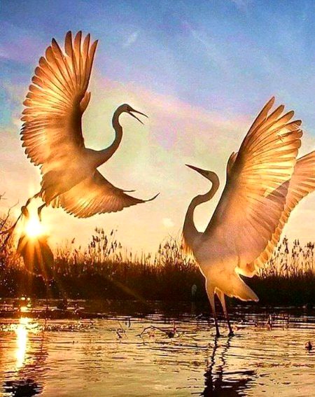 Beautiful Nature image