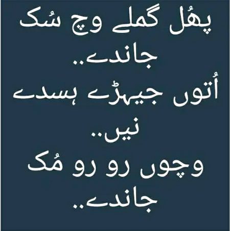 Mehar Zada
