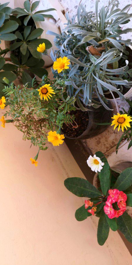 Beautiful Nature image