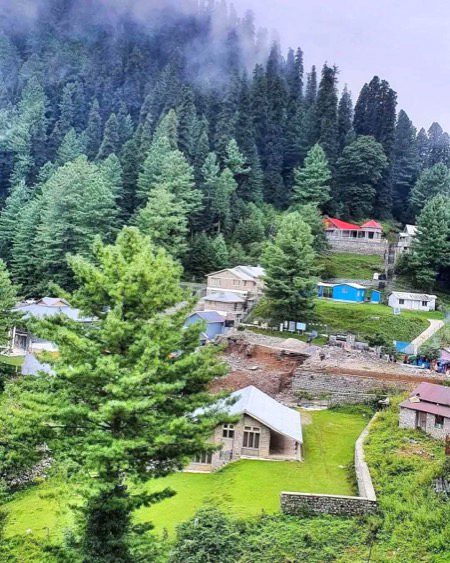 Beautiful Nature image